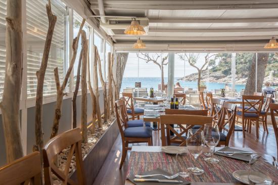 El clot dels mussols